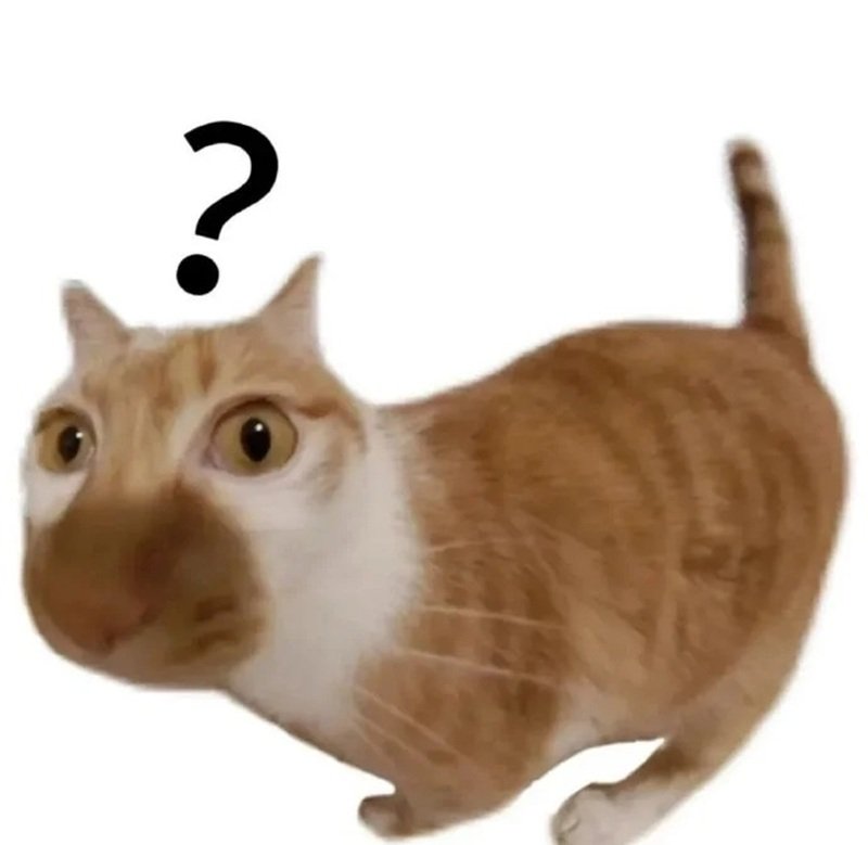 ảnh chế meme mèo bựa 20