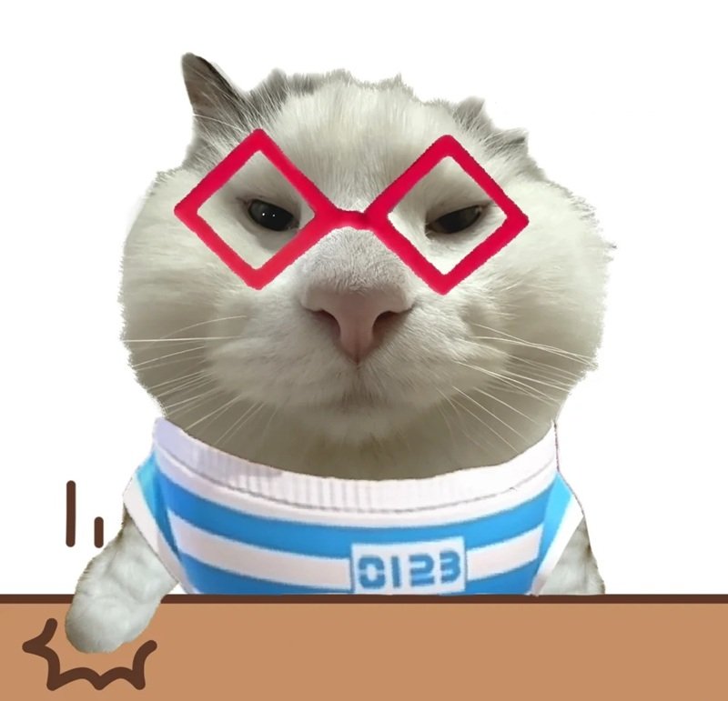 ảnh chế meme mèo bựa 30