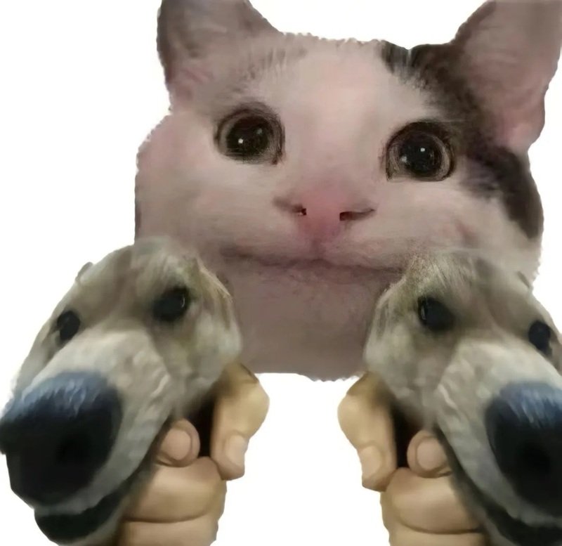 ảnh chế meme mèo bựa 8