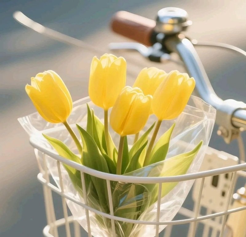 ảnh đại diện facebook 12