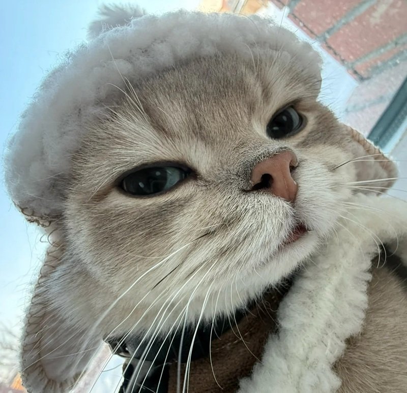 ảnh đại diện facebook 27