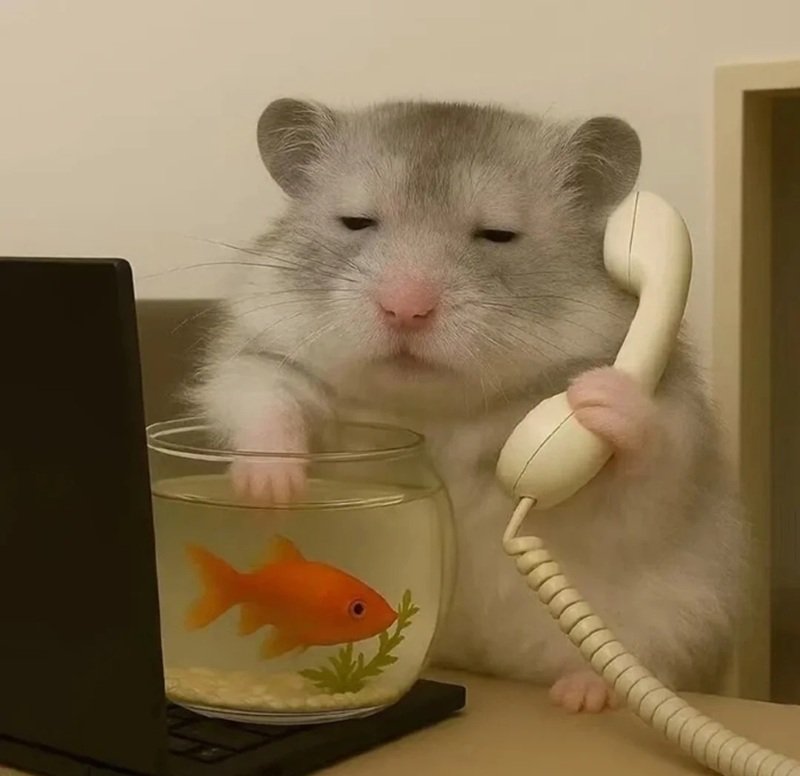 ảnh đại diện fb 4