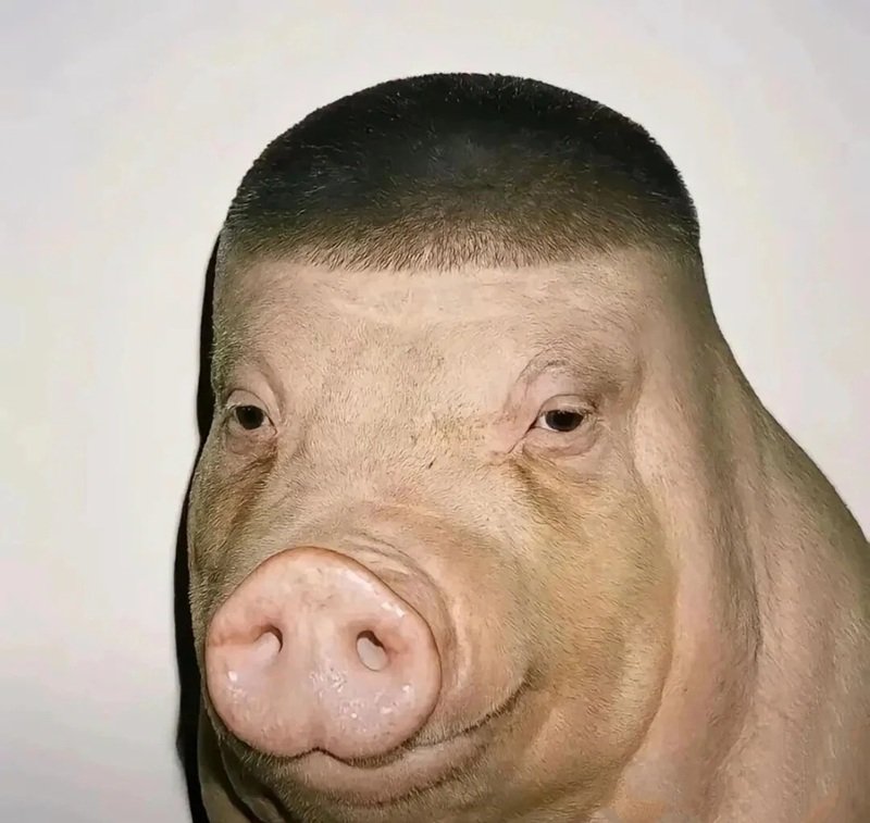 ảnh đại diện hài 18