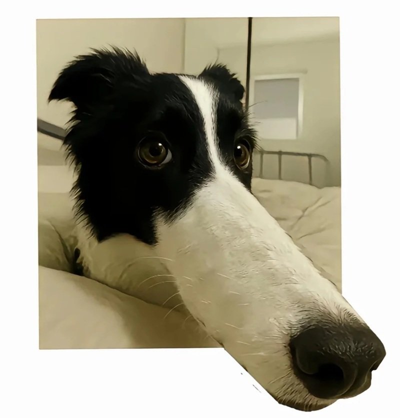 ảnh đại diện hài 20