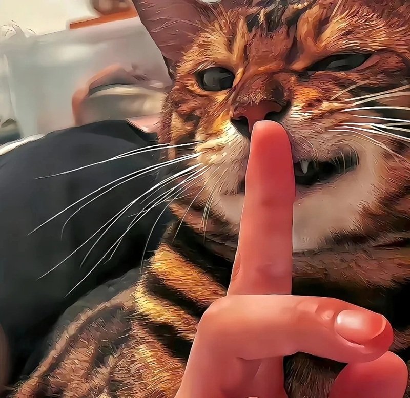 ảnh đại diện hài 34