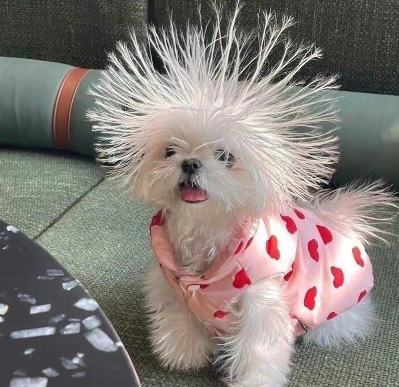 ảnh đại diện hài 38