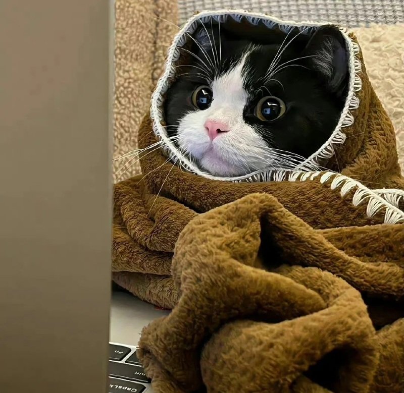 ảnh đại diện hài 39