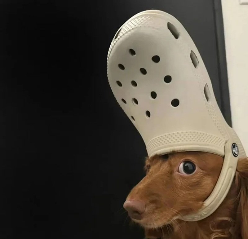 ảnh đại diện hài 7