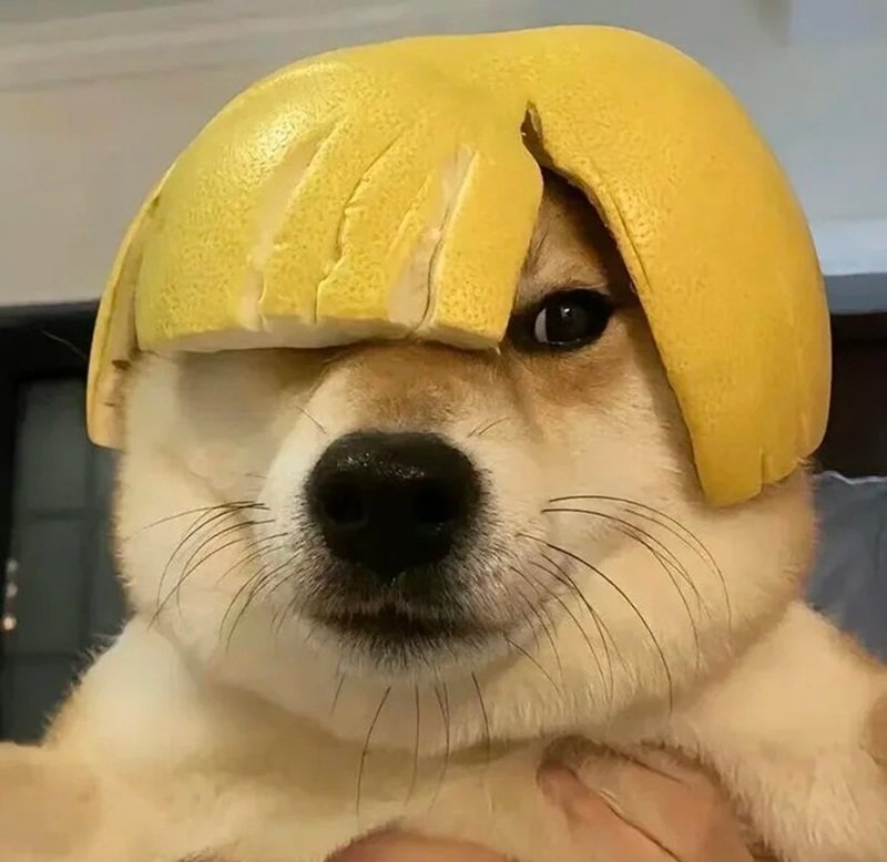 ảnh đại diện hài 8