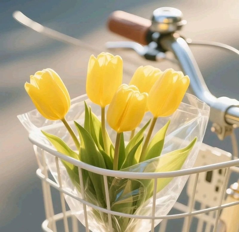 ảnh đại diện tiktok 1