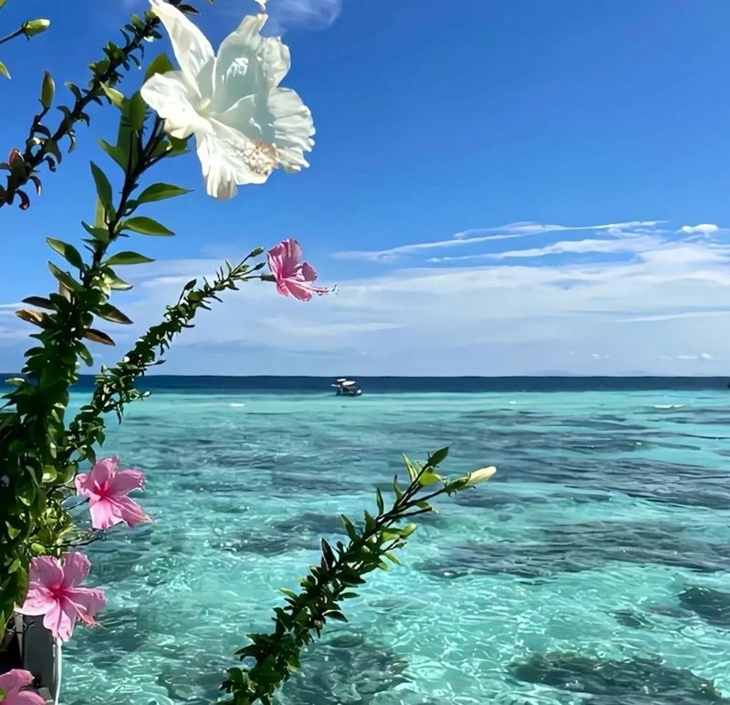 ảnh đại diện tiktok 37