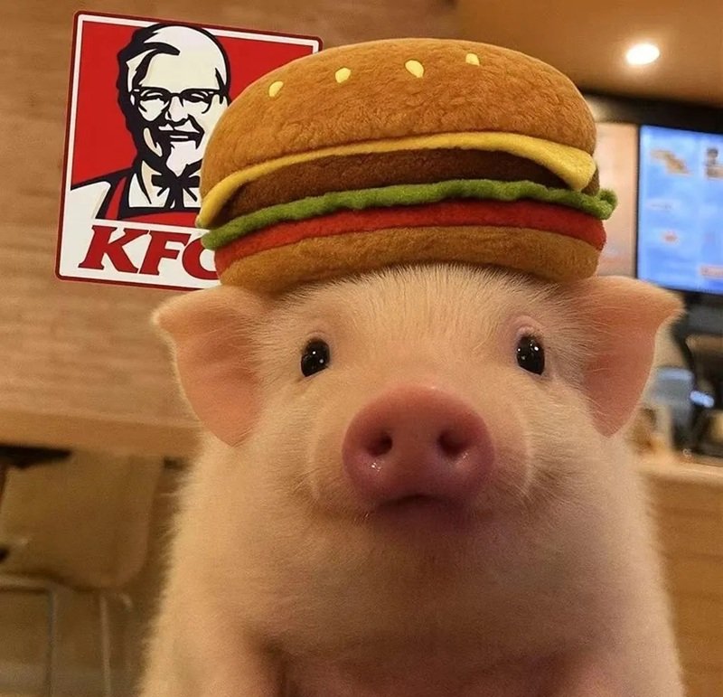 ảnh đại diện zalo 17