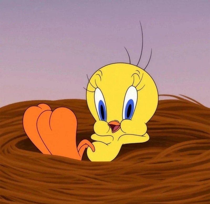 ảnh dễ thương 18