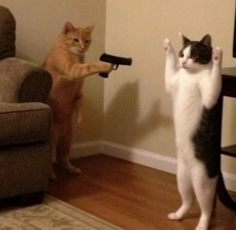 ảnh hài hước 20