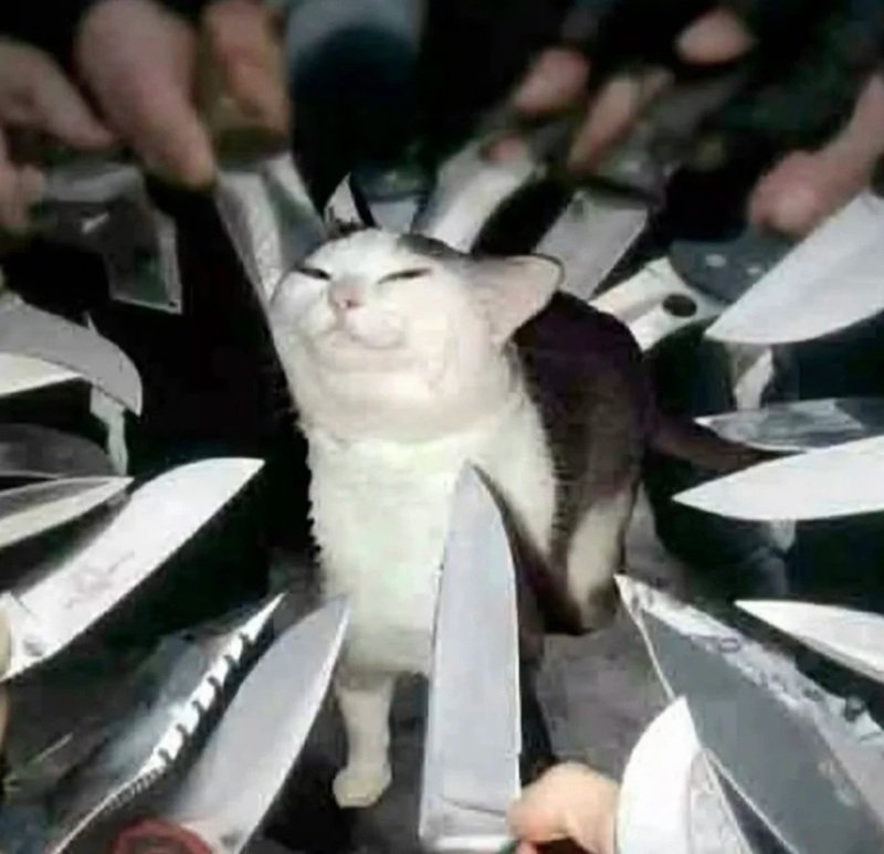 ảnh hài hước 21