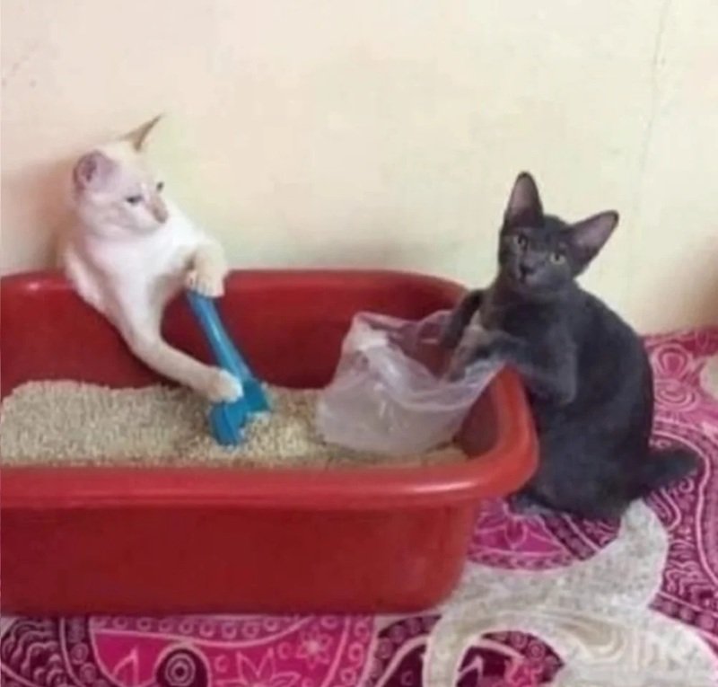 ảnh hài hước 22