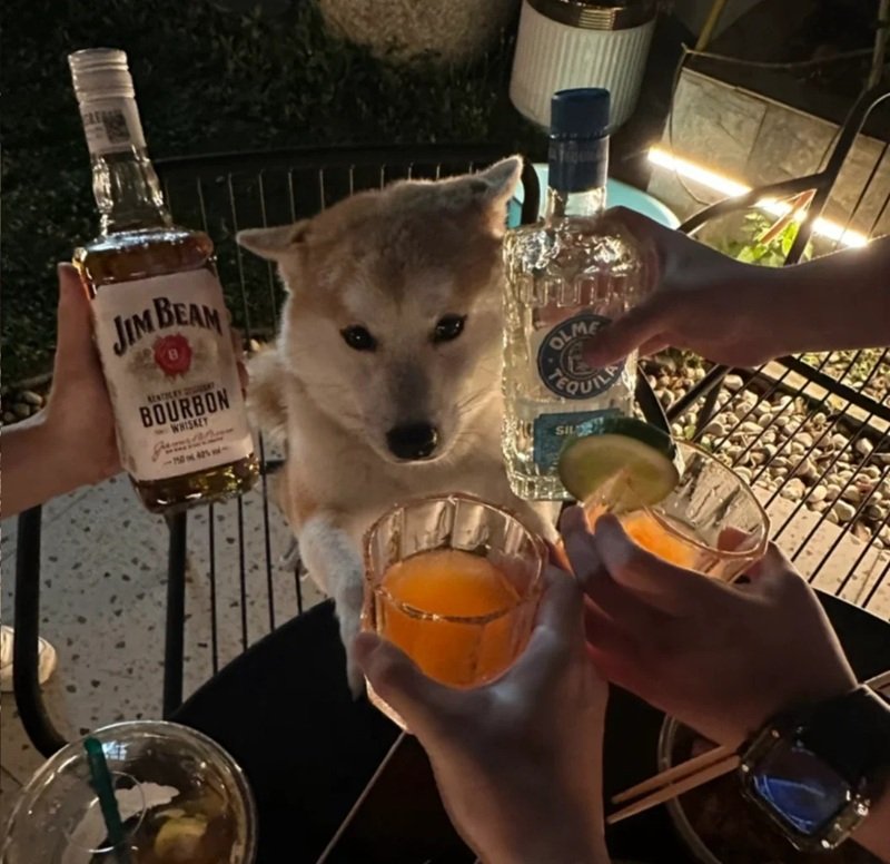 ảnh hài hước 23