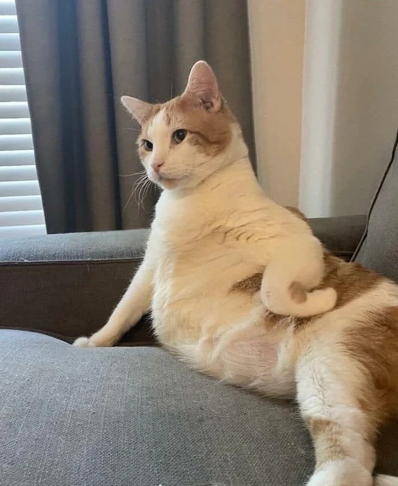 ảnh hài hước 26