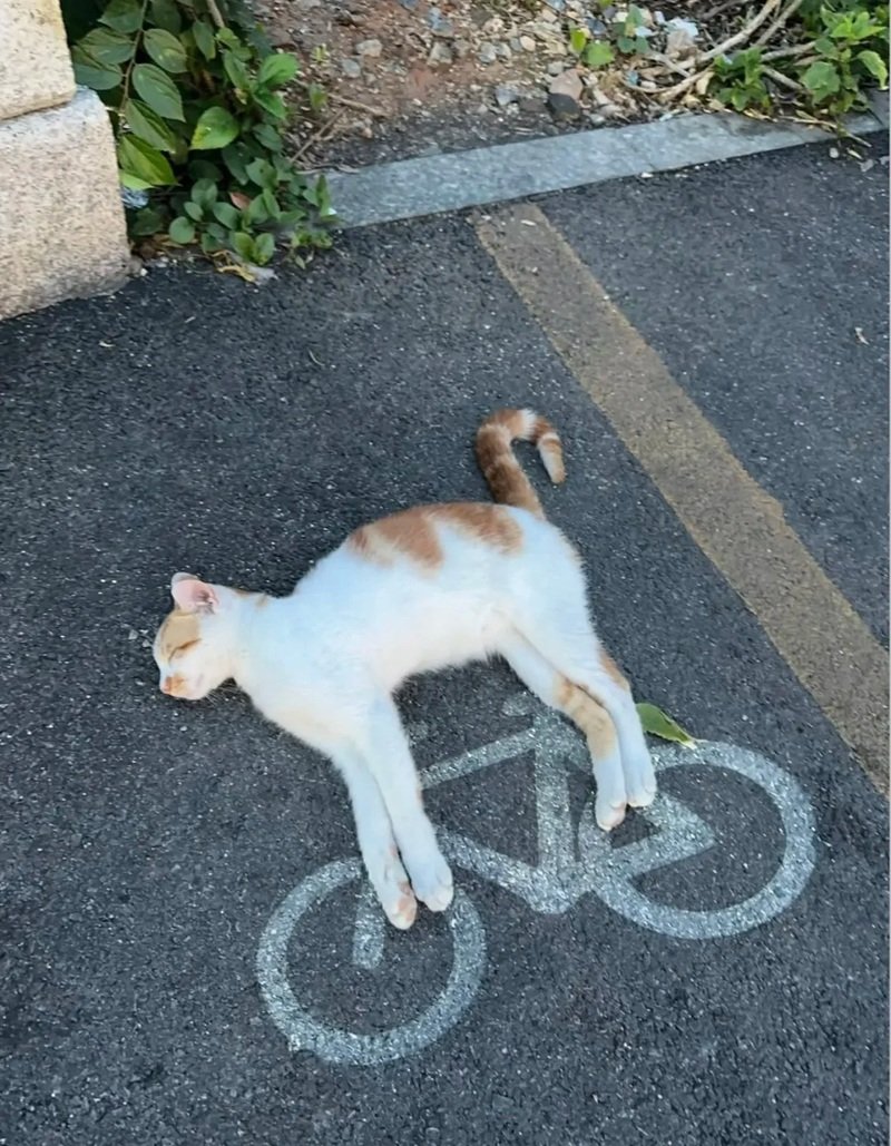 ảnh hài hước 27