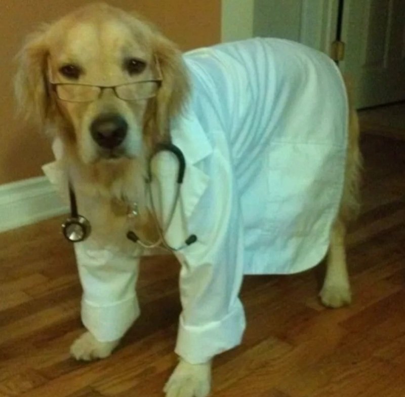 ảnh hài hước 33