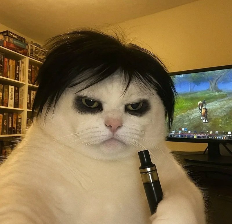 ảnh hài hước 39