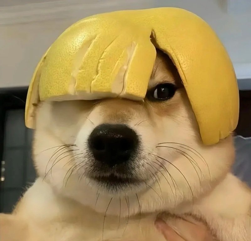 ảnh hài hước 41