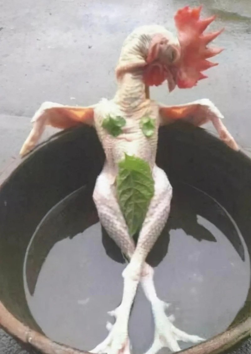 ảnh hài hước 7