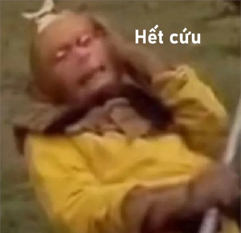 ảnh hết cứu 15