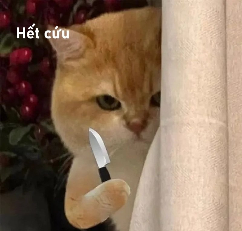 ảnh hết cứu 17