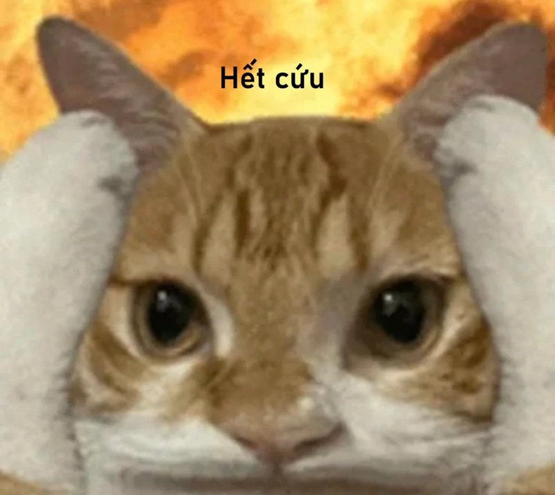 ảnh hết cứu 19