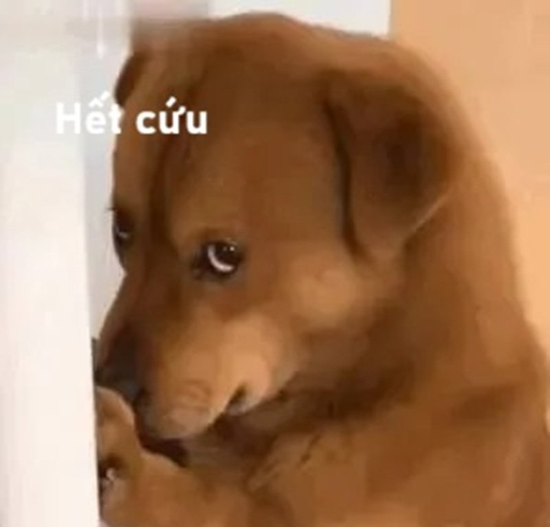 ảnh hết cứu 24