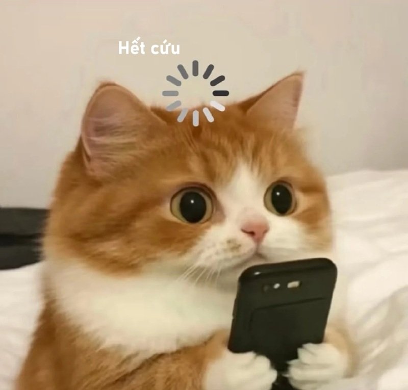 ảnh hết cứu 28