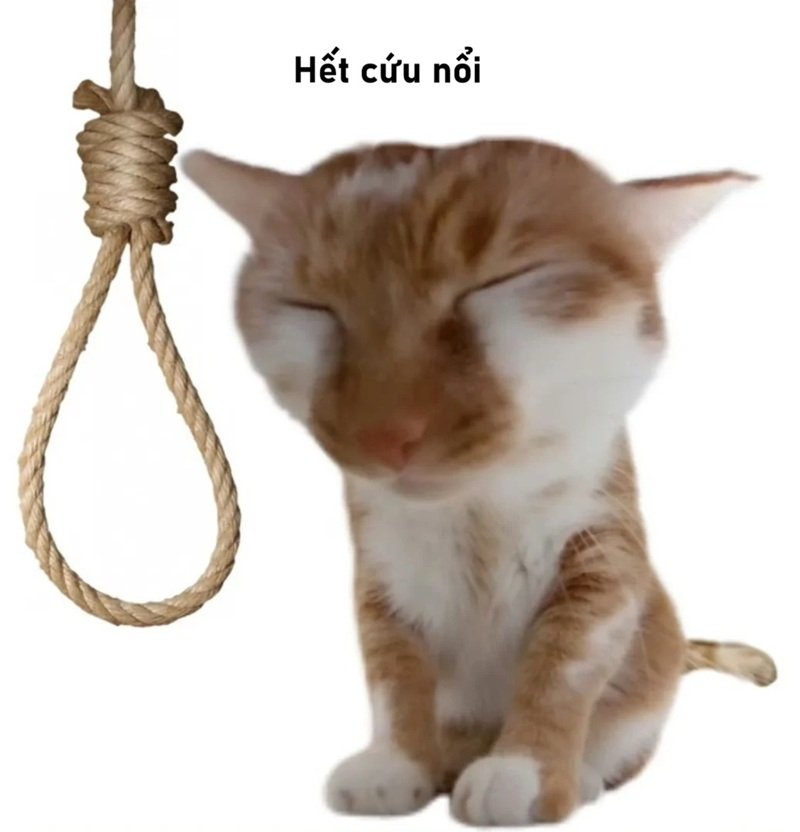 ảnh hết cứu 29