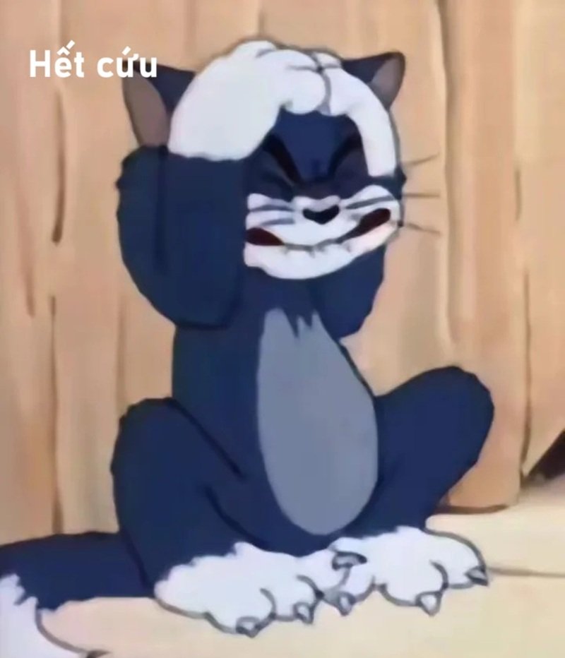 ảnh hết cứu 38