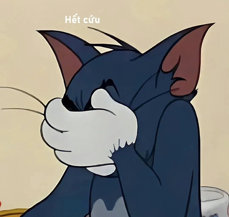 ảnh hết cứu 39