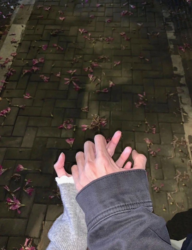 ảnh nắm tay người yêu 2