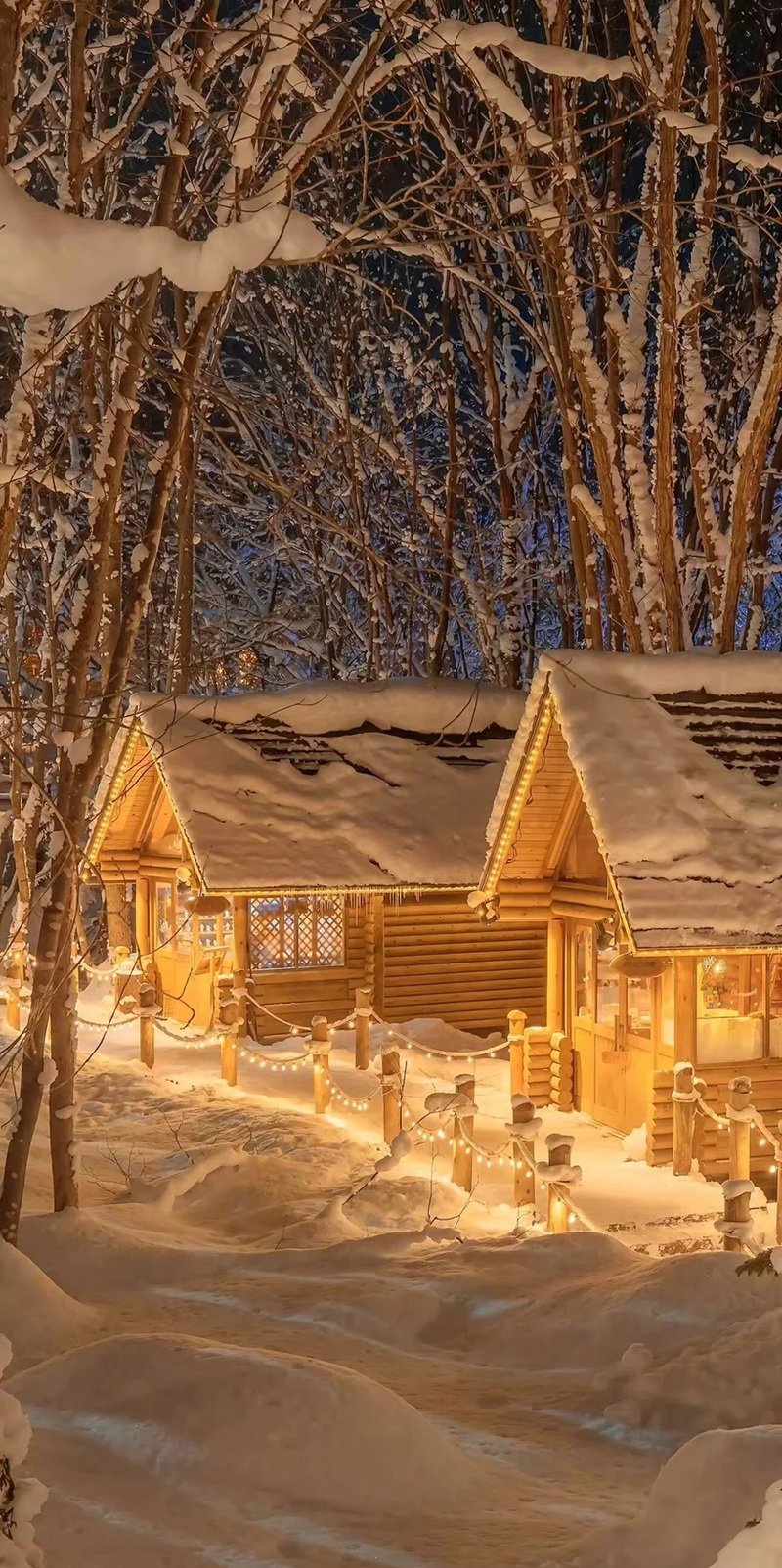 ảnh nền điện thoại đẹp 13