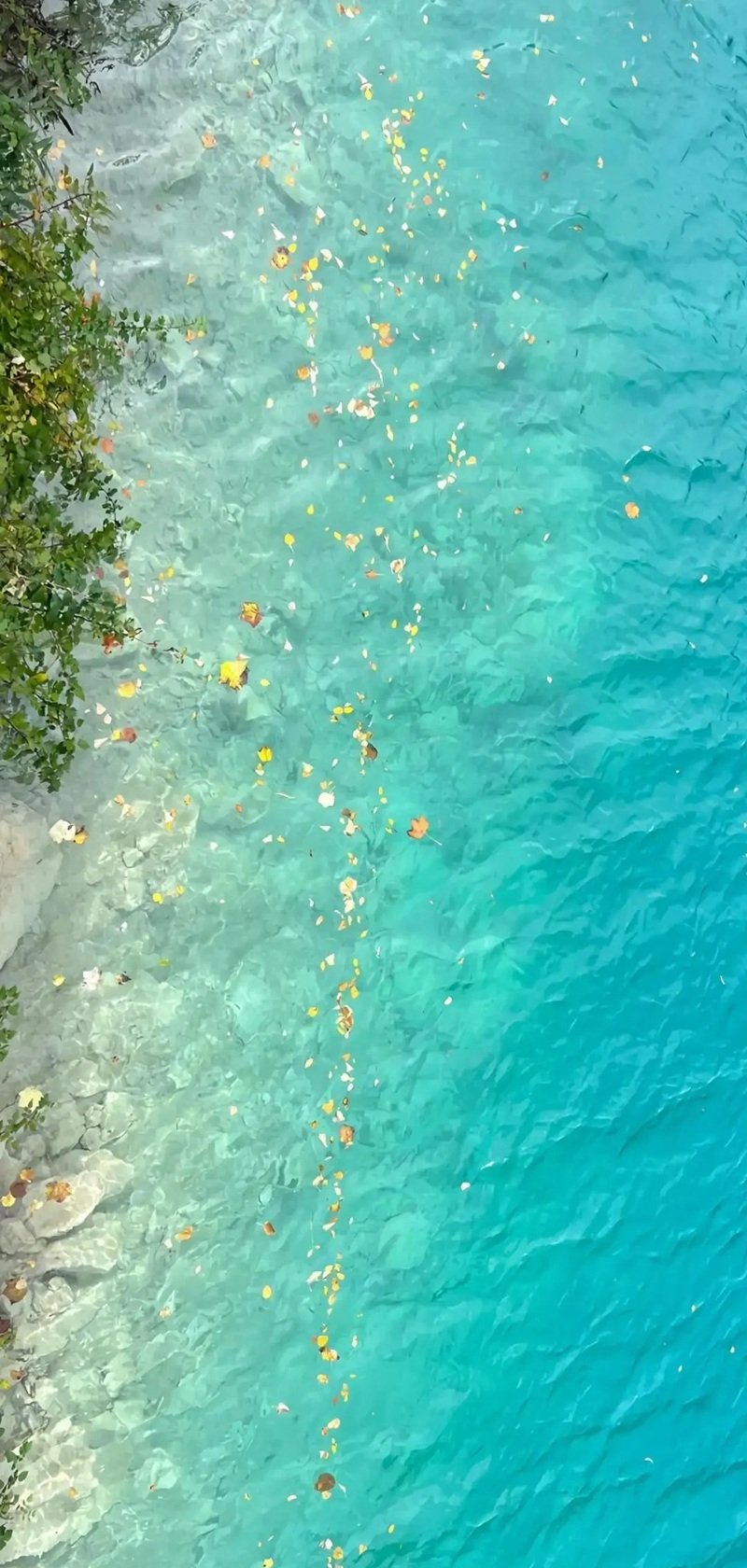 ảnh nền điện thoại đẹp 39