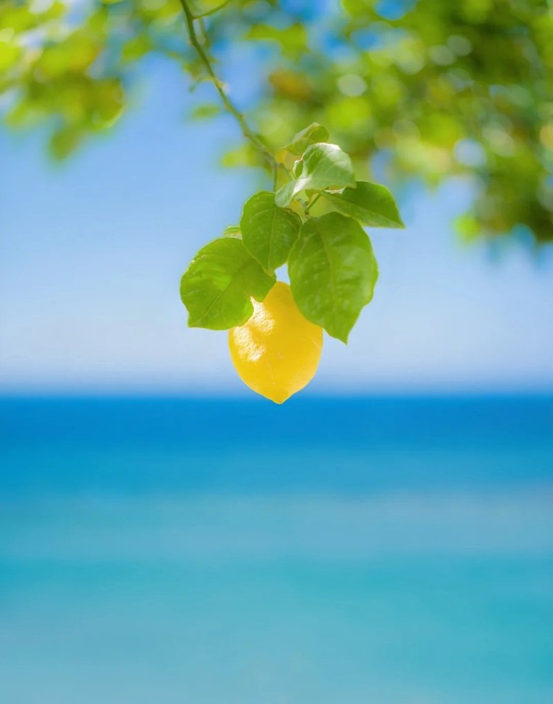 ảnh nền điện thoại đẹp 40