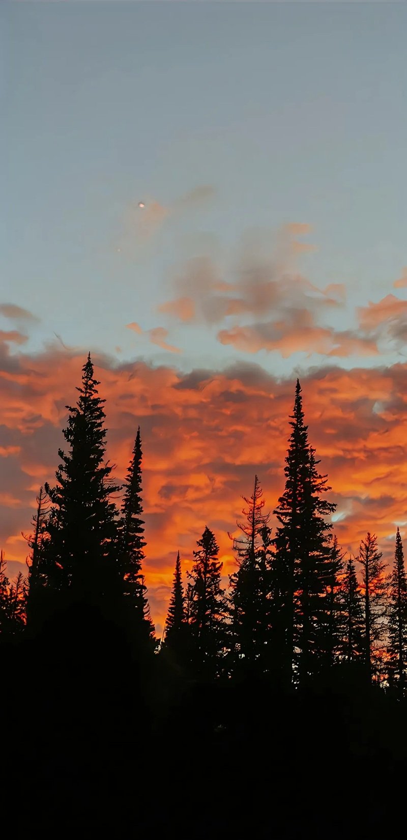 ảnh nền điện thoại đẹp 6