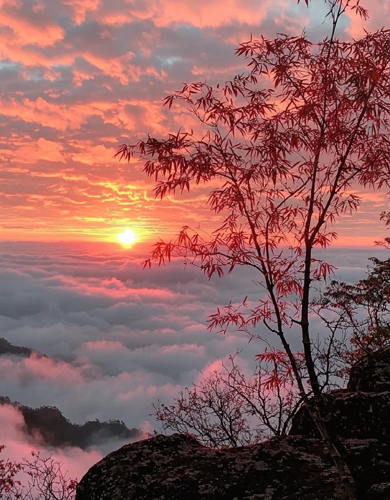 ảnh phong cảnh chill 13