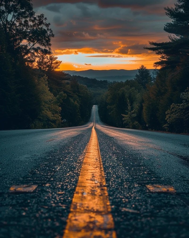 ảnh phong cảnh chill 16