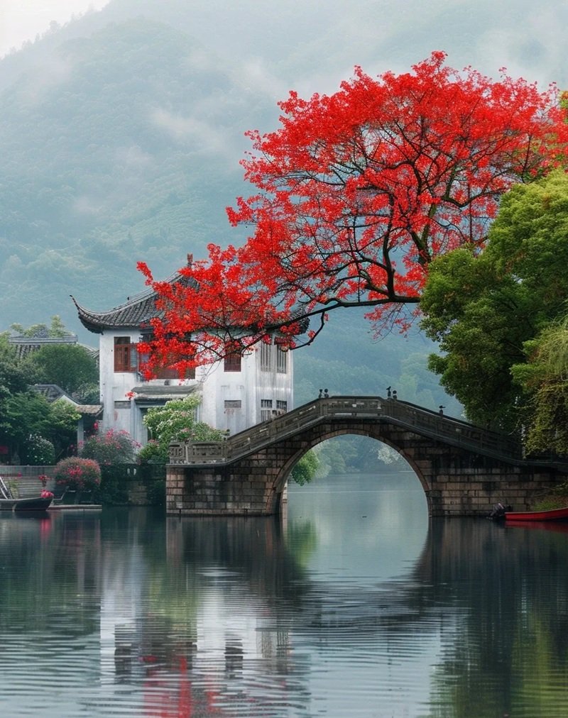 ảnh phong cảnh chill 18