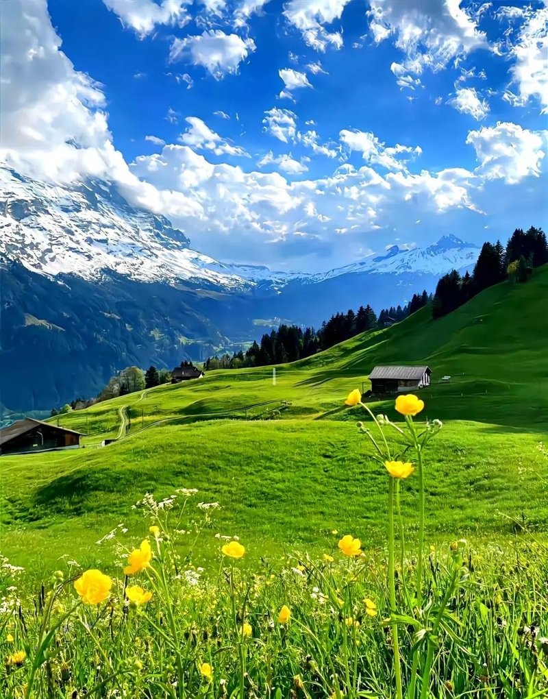 ảnh phong cảnh chill 23