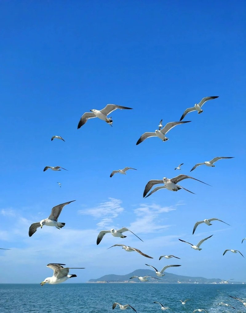 ảnh phong cảnh chill 26