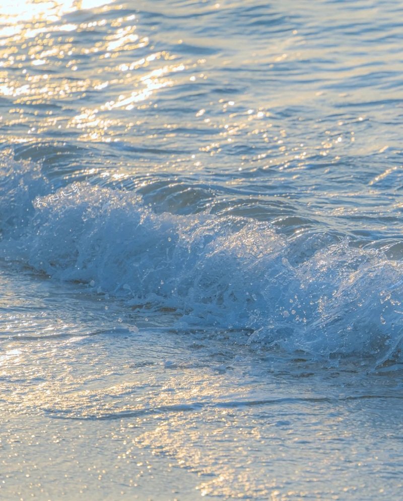 ảnh phong cảnh chill 28