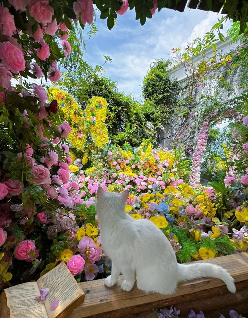 ảnh phong cảnh chill 31