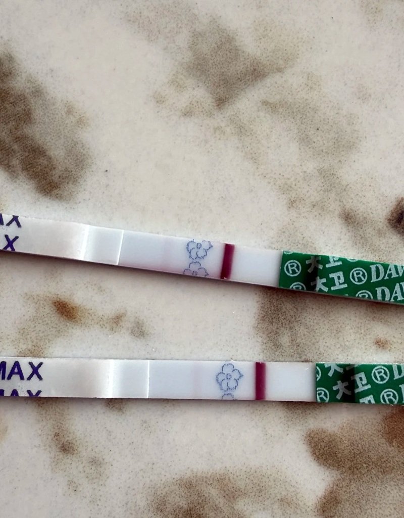 ảnh que thử thai 2 vạch 29