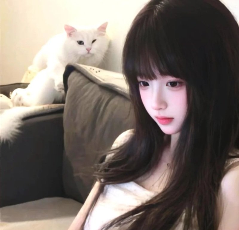 avatar ảnh gái k8 8