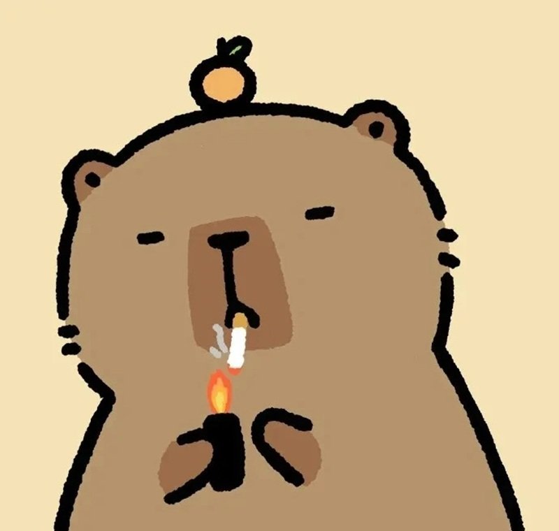 avatar capybara vô tri 10